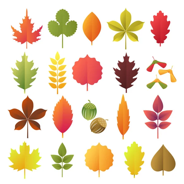 Papier geschnittene Herbstblätter gesetzt. Herbst Blätter bunte Papiersammlung. Vektorillustration. — Stockvektor