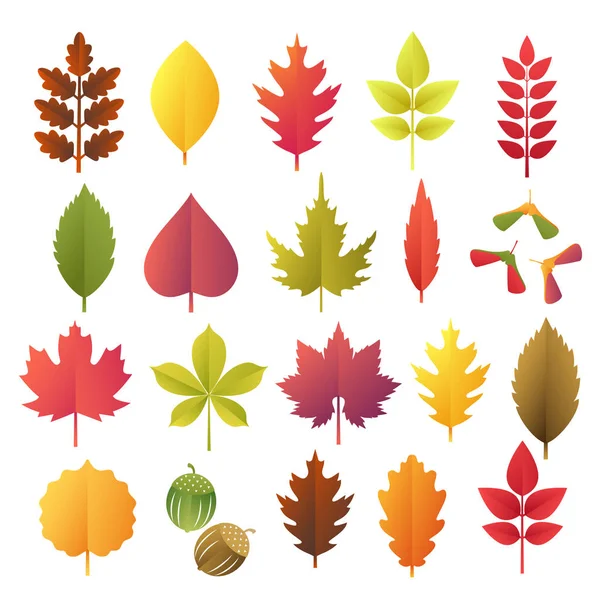 Бумага срезает осенние листья. Осенью листья разноцветной коллекции бумаги. Векторная иллюстрация . — стоковый вектор
