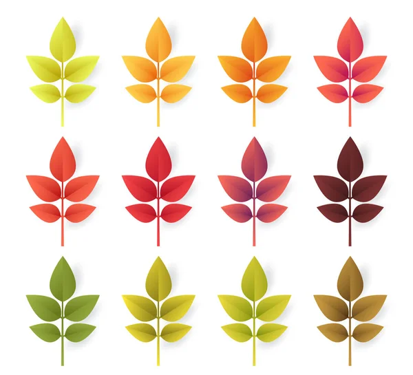 Folhas de outono coloridas conjunto isolado no fundo branco. Corte de papel 3d estilo plano, ilustração vetorial — Vetor de Stock