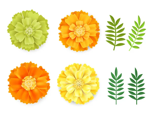 Διακοσμητικά πορτοκαλί, πράσινο και κίτρινο marigolds και φύλλα, σύμβολο του Μεξικού διακοπές ημέρα των νεκρών απομονωθεί σε λευκό φόντο. Realistick λουλουδιών διανυσματικά εικονογράφηση — Διανυσματικό Αρχείο