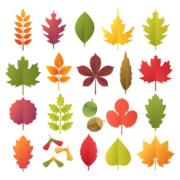 Folhas de outono coloridas conjunto isolado no fundo branco. Corte de papel 3d estilo plano, ilustração vetorial — Vetor de Stock