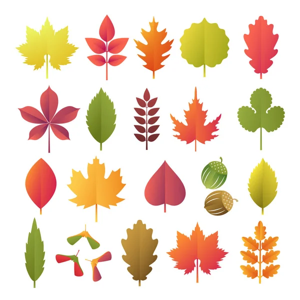 Цветные осенние листья на белом фоне. Трехмерный плоский стиль, векторная иллюстрация — стоковый вектор