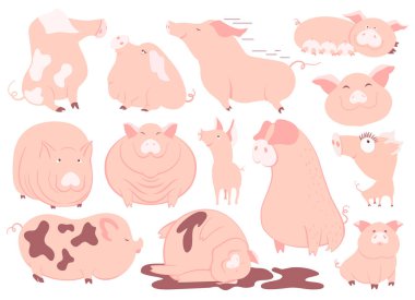 Komik pembe domuz ayarlayın. Çin yeni yılı 2019 sembolü komik karakterler ve beyaz arka plan üzerinde izole teşkil etmektedir. Çizgi film düz stil vektör çizim.