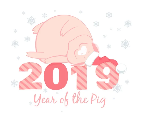 Noel Baba şapkası içinde şirin domuz ile yaratıcı kartpostal 2019 yılbaşı için. Çin yeni yılı sembolü numaraları beyaz arka plan üzerinde kar taneleri ile yatıyor. Çizgi film düz stil vektör çizim. — Stok Vektör