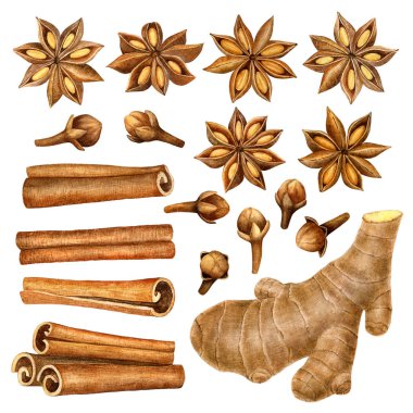 Baharat hammadde pişirme ve pişirme için. Mulled şarap maddeler tarçın, anason, Kuru üzüm, zencefil, karanfil beyaz arka plan üzerinde izole. Suluboya resim.