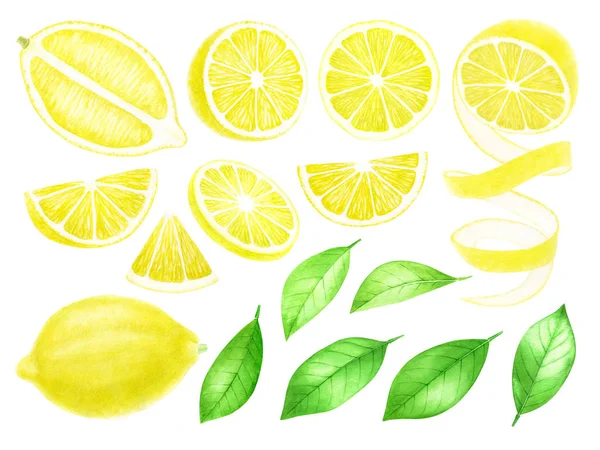 Frutas frescas de limão inteiras e fatiadas. Citrus com folhas isoladas sobre fundo branco. Ilustração desenhada à mão aquarela . — Fotografia de Stock