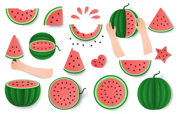 Watermeloen hele, halve en gesneden set geïsoleerd op witte achtergrond. Gezond eten trendy design. Fruit illustratie voor boerderij marktmenu. Papier knippen stijl vector illustratie — Stockvector