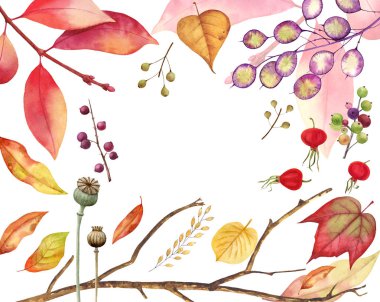 Sonbahar beyaz arka plan üzerinde izole çerçeve bırakır. Lale ağacı, meşe, akçaağaç, kül, huş ağacı, kayın, üzüm dekoratif set. Şükran Günü, Cadılar Bayramı ve sonbahar tatilleri tasarımı için yaprak sonbahar öğeleri.
