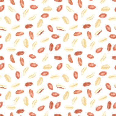 Fıstık. Groundnut bütün , yarıya, kabuk ve beyaz dikişsiz arka plan üzerinde bireysel çekirdekler. Geleneksel ve sağlıklı fıstık ezmesi kahvaltı gıda deseni. Suluboya illüstrasyon.