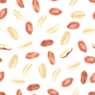 Fıstık. Groundnut bütün , yarıya, kabuk ve beyaz arka plan seti izole bireysel çekirdekler. Geleneksel ve sağlıklı fıstık ezmesi kahvaltı gıda. Suluboya illüstrasyon.