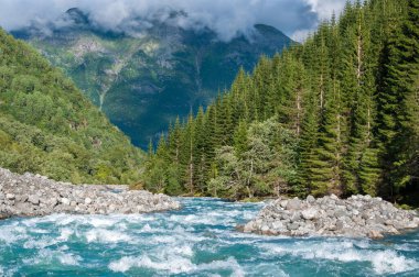 Norveç 'in Odda kenti yakınlarındaki Folgefonna buzulundan gelen doğal ve taze su.