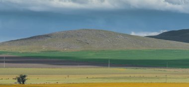 Buenos Aires Eyaleti, Arjantin 'de pampa manzarası