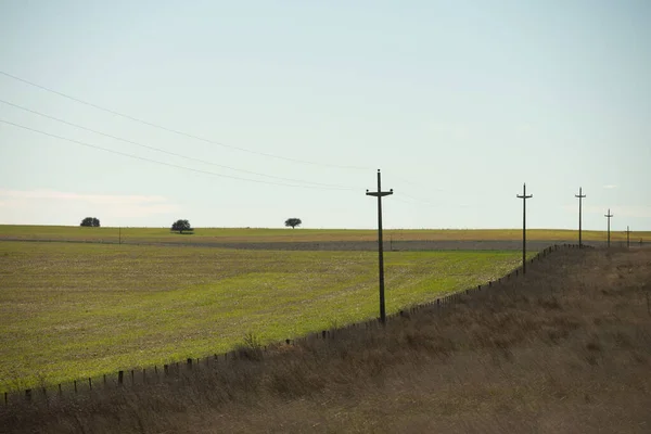 Terrain Ferme Clôtures Pooles Dans Les Pampas — Photo