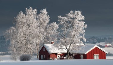 Akershus, Norveç - 9 Şubat 2010: Karlı ağaçlar ve tipik İskandinav evi