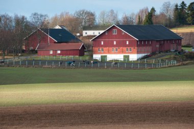 Kayak, Norveç - 18 Kasım 2009: Akersus İlçesi 'nin güney kesiminde tipik bir çiftlik ve istikrar