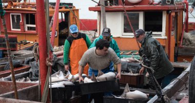 Mar del Plata, Arjantin - 19 Eylül 2016: Mar del Plata limanına özgü küçük bir balıkçı teknesidir ve genellikle gün batımında yola çıkar ve gün batımında geri döner. Balık tutmak için çok güzel bir gün geçirdiler, özellikle köpekbalıkları için..