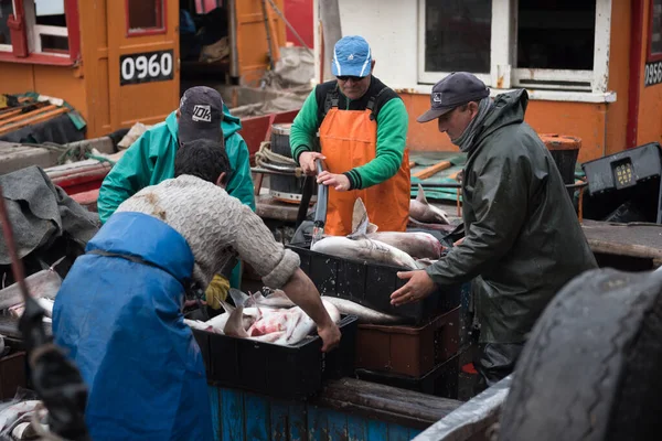Мар Дель Плата Аргентина Вересня 2016 Року Невеликий Рибальський Човен — стокове фото