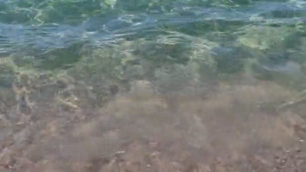 视频海浪打破海滩岸边 — 图库视频影像