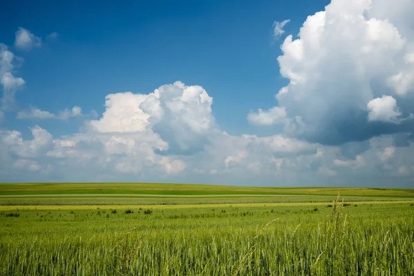 Beautiful Summer Day White Clouds Blue Sky — Stock Photo, Image