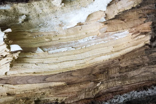 Yıpranmış ahşap doku fotoğrafını ekrana kapatın