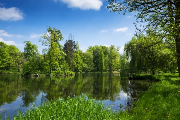 Platteland Landschap Met Lake Bomen — Stockfoto