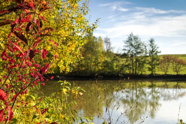 Herfst Landschap Prachtige Herfstkleuren — Stockfoto