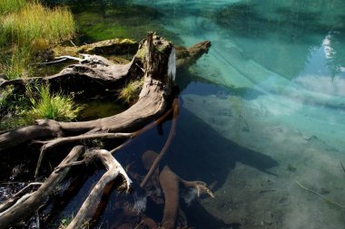 Gayzer Gölü (bir gezi boyunca Chuisk yol boyunca altay)
