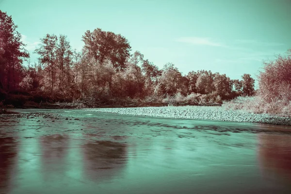 Kızılötesi görüntü ağaçlar ve nehirler