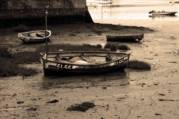 Barca Remi Terra Nel Porto Topsham Nel Devon Inghilterra — Foto Stock