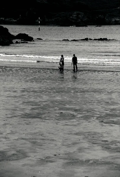 一对夫妇在南德文郡的布莱克浦海滩上遛狗 而潮水正在转 — 图库照片