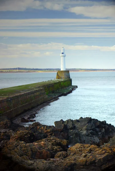 Faro Final Del Muelle Entrada Del Puerto Aberdeen Escocia Una —  Fotos de Stock