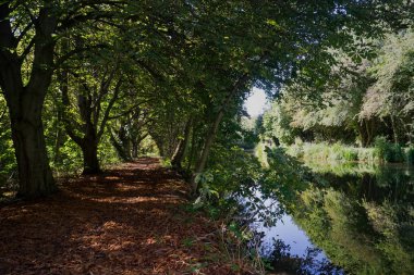 Nehir Stort Harlow Essex ağaç sonbahar gösterilen yol astarlı ve Towpath ile ters banka tam Yaz modunda kalır.