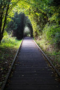 Sawbridgeworth, Hertfordshire içinde Pishiobury Park ormanda tekerlekli sandalye için yol. Nehir ve sulak erişim sağlar