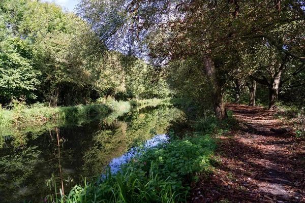 Nehir Stort Harlow Essex Ağaç Sonbahar Gösterilen Yol Astarlı Towpath — Stok fotoğraf