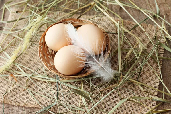 Fresh Chicken Eggs Basket Feather Close — Stock Photo, Image