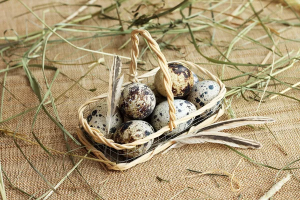 Food Photo Quail Eggs Basket Close — Stock Photo, Image