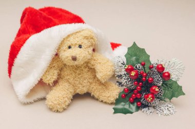 Görüntüsü ayıcık gri zemin üzerinde Noel şapkalı
