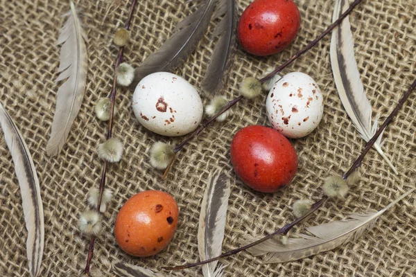 Sweet Easter Image Chocolate Eggs Willow — Stock Photo, Image