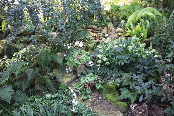 Zdjęcie w ogrodzie botanicznym — Zdjęcie stockowe