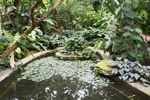 Foto de lagoa artificial no jardim botânico — Fotografia de Stock