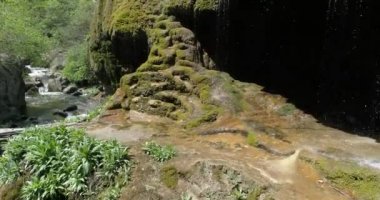 şelaleler şemsiye, Karabağ-Azerbaycan, Kafkasya, Ermenistan, yatay pan, yakın çekim