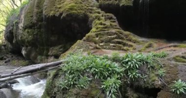 şelaleler şemsiye, Karabağ-Azerbaycan, Kafkasya, Ermenistan, yatay pan, kapak atış