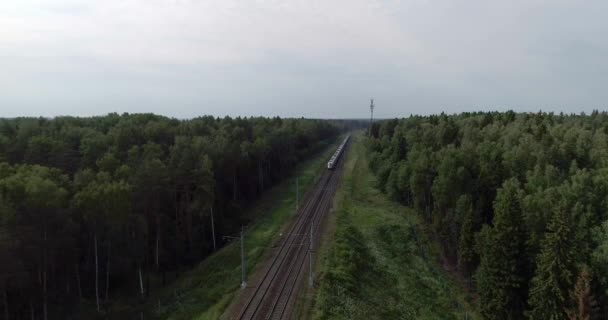 Sapsan Train Railroad Russia __Cc__ — Stock Video