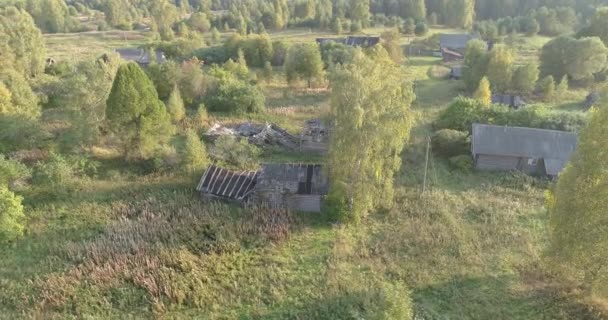 Död Voskresenskoe Förstört Hus Antenn Gräs Träd Bosättning Sommar Höst — Stockvideo