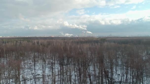 Ekologi Föroreningar Skog Nakna Träd Skorsten Antenn Losiniy Ostrov Vinter — Stockvideo