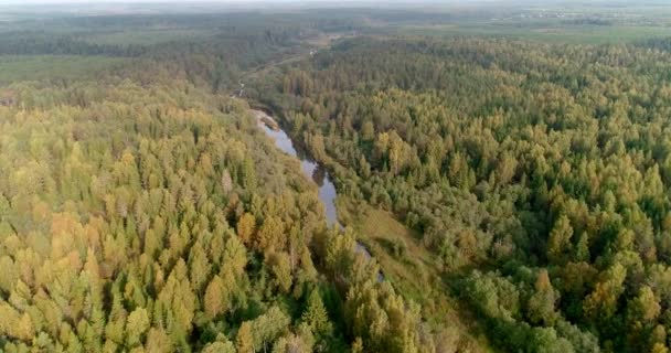 Rivier Herfst Kleurrijke Bos Taiga Mooi Geweldig Antenne Video Natuur — Stockvideo