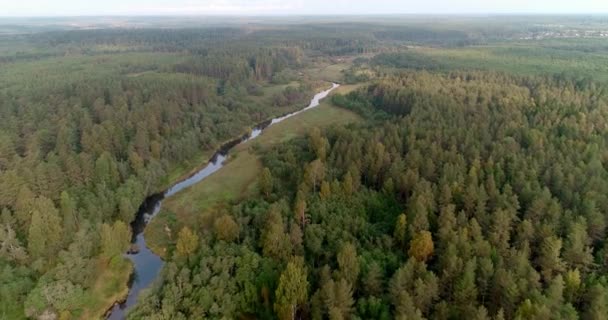 Fluss Herbst Bunten Wald Taiga Schön Erstaunlich Antenne Video Natur — Stockvideo