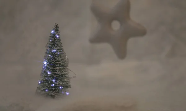 Weihnachtsbaum Und Lebkuchenstern — Stockfoto