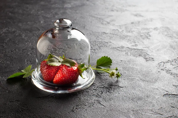 Fresh ripe strawberry in a glass mini dome with strawberry flowers and leaves on dark background. — Stock Photo, Image