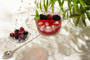 Arka planda tropik bitkilerle ahududu, böğürtlen, böğürtlen, nane ve buz ile taze meyve kokteyli. Dondurucu hareketli içecek, uçan kokteyl damlaları. Sert gölgeli soğuk içecek..